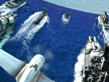 Download Battleship Game