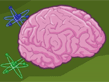 Download Brain Booster Game