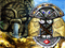 Download El Dorado Quest Game