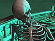 Download Epic Adventures: Cursed Onboard Game