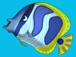 Download Feeding Frenzy 2 Game
