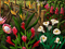 Download Flower Paradise Game