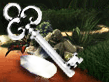 Download Jewel Quest Mysteries: Trail of the Midnight Heart Game