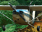 Download Nat Geo Adventure: Lost City of Z Game