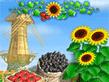 Download Sunshine Acres Game