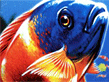 Fish Tycoon Collection