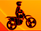 Max Dirt Bike