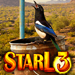 StarL 3